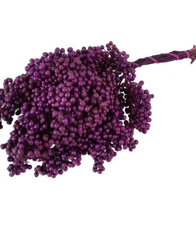 Dried purple pepper berries | Length ± 30 cm | Available per bundle