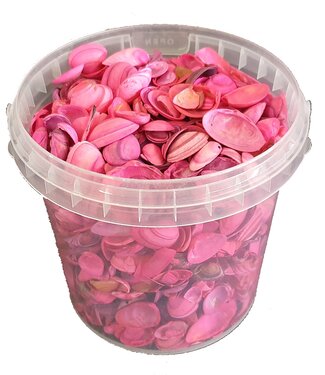 MyFlowers Schelpen noordzee 1 ltr Cerise ( x 6 )