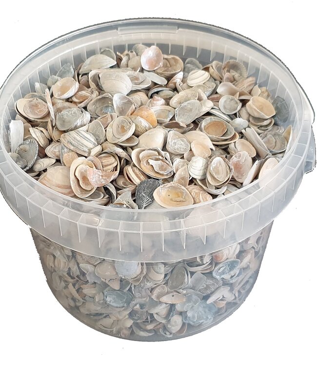 Shells north sea 3 ltr Frosted Blue ( x 1 )