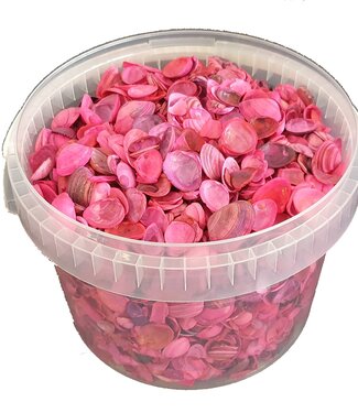 MyFlowers Shells north sea 3 ltr Cerise ( x 1 )