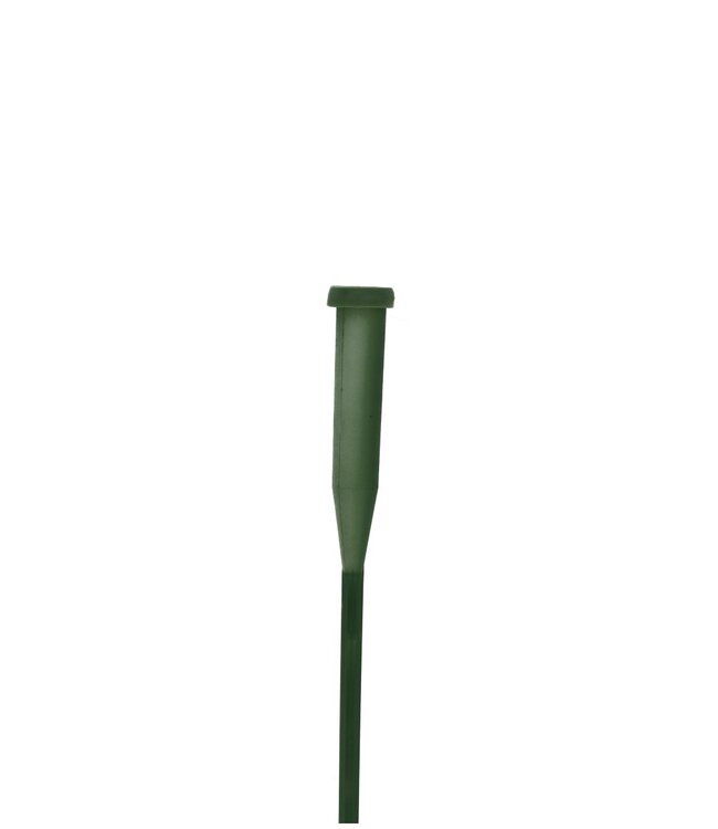 Groene Steekbuis 30 centimeter enkel | Per 100 stuks