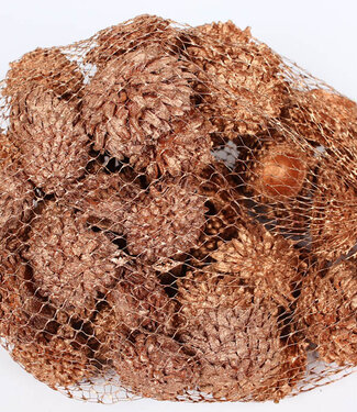 Acorn Cones 500gr in net copper ( x 4 )