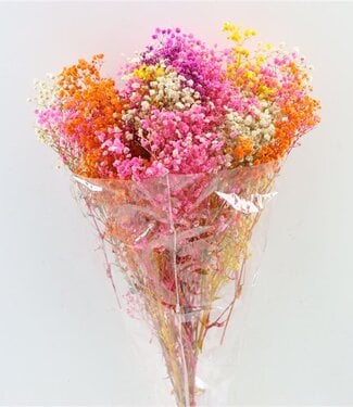 MyFlowers Preserved Gypsophila spring mix