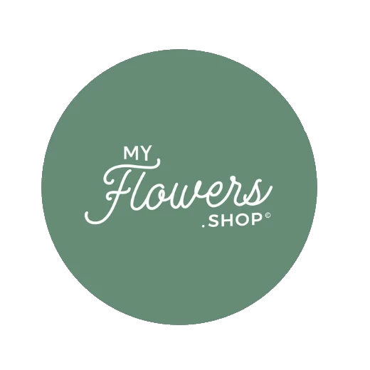 Natural beauty: Discover the Top 10 Dried Flowers at myflowers.shop!