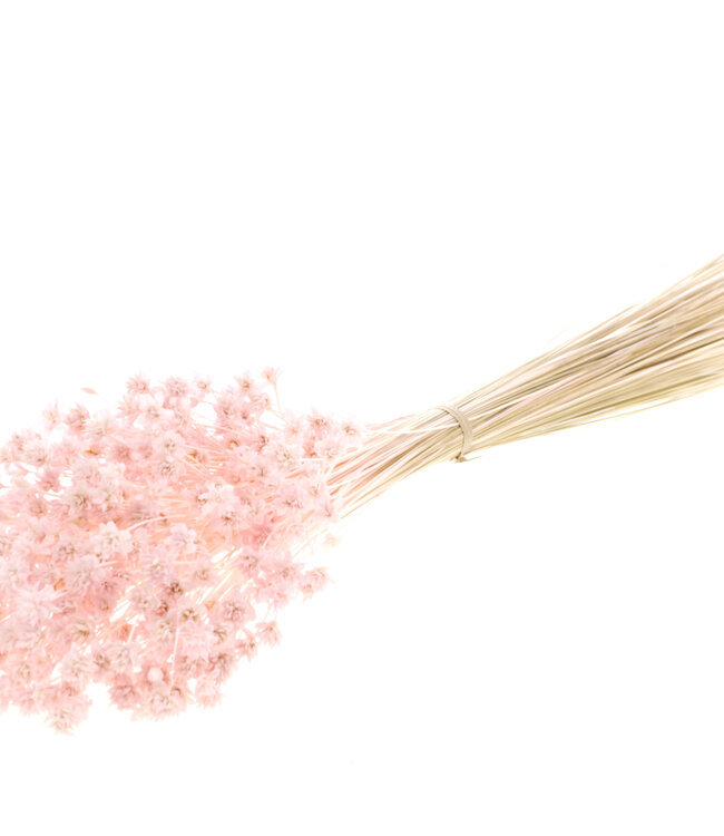 Hill Flowers light pink | Length ± 45 centimeters