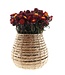 Dried red Helichrysum straw flower dried flowers per bunch