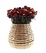 Getrocknete rote Helichrysum-Strohblumen getrocknete Blüten pro Strauß