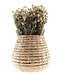 Dried cream-white Gomphrena | Length 35 - 45 centimeters