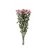 Ten dried pink spray roses