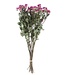 Tien gedroogde fuchsia trosrozen