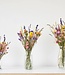 Bouquet champêtre de fleurs séchées "Multi Colori"