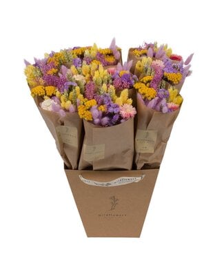 Wild Flowers Veldboeket droogbloemen "The Perfect Gift"