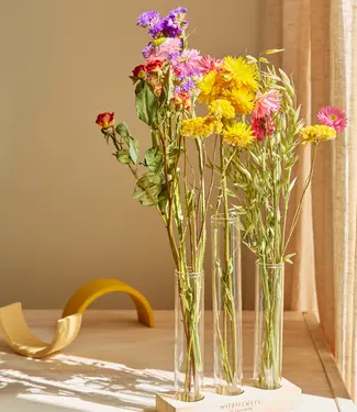 Droogbloemen met 3 glazen vaasjes en houder | 4 verschillende kleuren