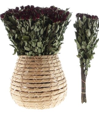 Dried red roses