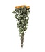 Ten dried yellow roses