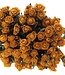 Zehn getrocknete gelb-orangefarbene Rosen