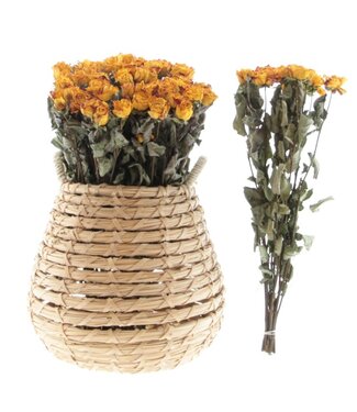 DriedRoses.com Dried yellow-orange roses