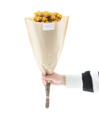 Dried yellow spray roses