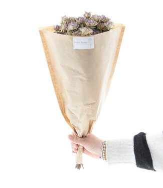 DriedRoses.com Gedroogde lavendel-grijze trosrozen