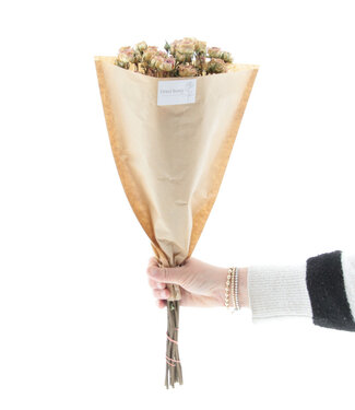 Dried white-pink spray roses