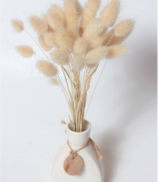 MyFlowers Natural baby Lagurus | dried baby hare tails