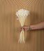 Glixia dried flowers bleached | Length ± 40 cm