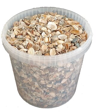 QC Natural North Sea shells | Bucket capacity 10 litres | Per bucket