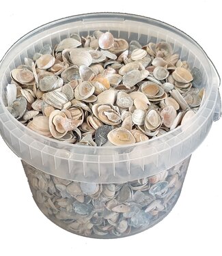 QC Matt blue North Sea shells | Bucket capacity 3 litres | Per bucket