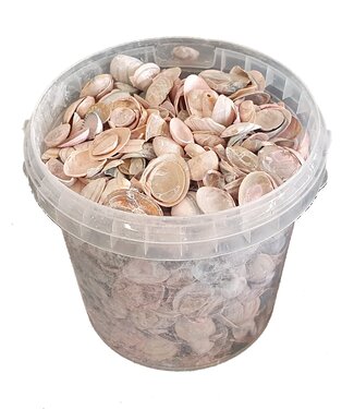 QC Matt pink North Sea shells | Bucket capacity 1 litre | Per 6 buckets