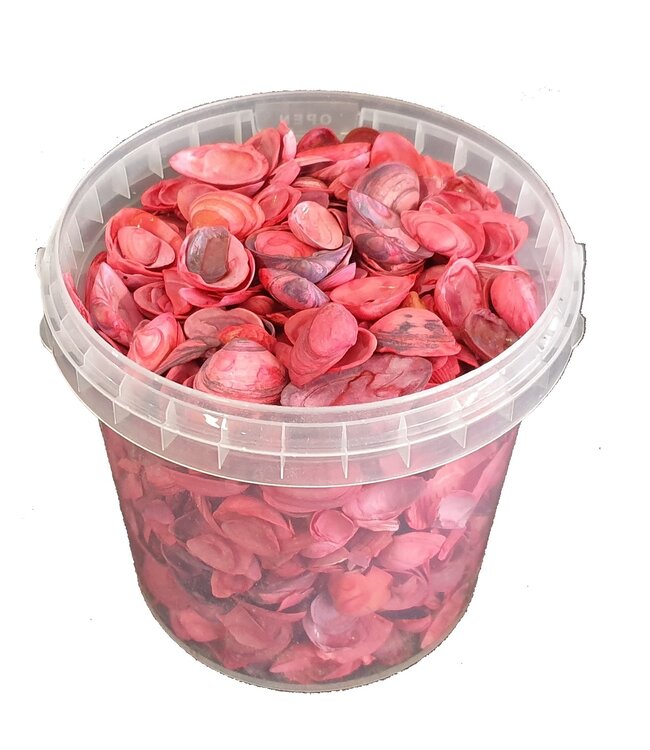 Red seashells | Bucket capacity 1 litre | Order per 6 buckets