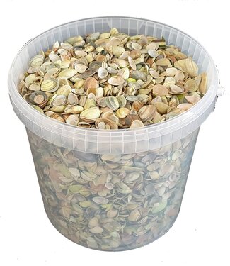 QC Light green North Sea shells | Bucket capacity 10 litres | Per bucket