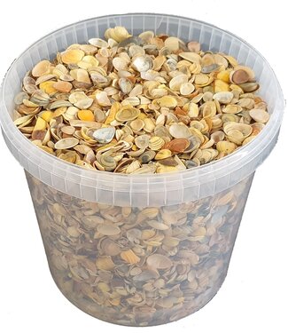 QC Yellow seashells | Bucket capacity 10 litres | Per bucket