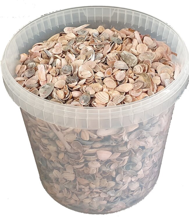 Matt pink North Sea shells | Bucket capacity 10 litres | Order by bucket