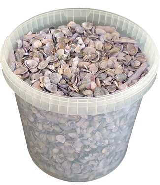 QC Coquilles de la mer du Nord couleur lait mat | Capacité du seau 10 litres | Par seau