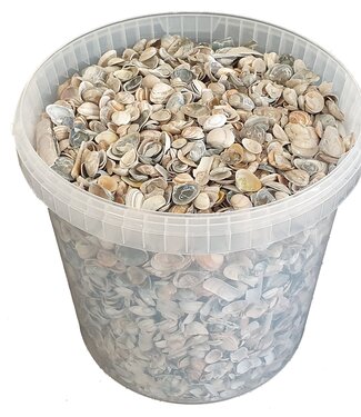 QC Matt blue North Sea shells | Bucket capacity 10 litres | Per bucket