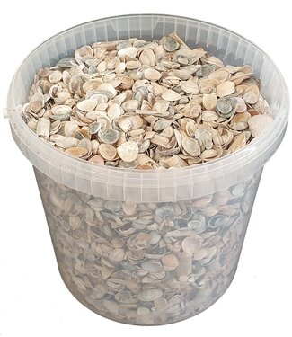 QC Matt white North Sea shells | Bucket capacity 10 litres | Per bucket