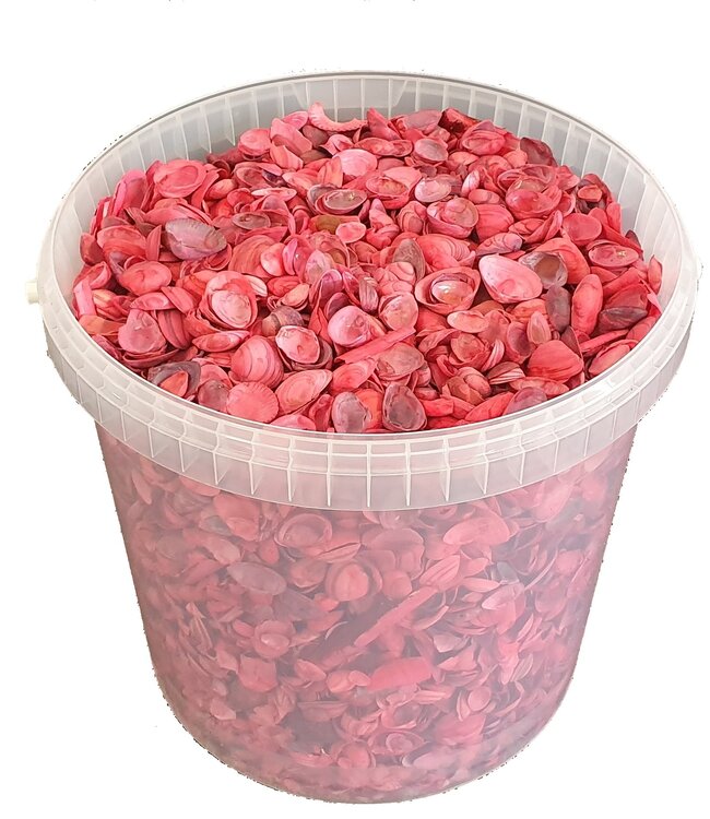 Red seashells | Bucket capacity 10 litres | Order by bucket