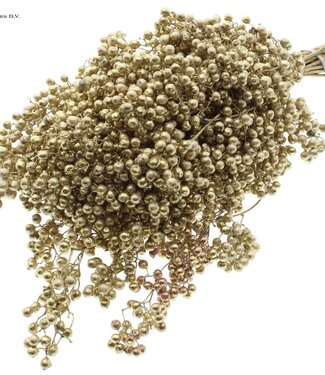 QC Gold coloured dried pepper berries | Packed per piece | Per 5 pieces