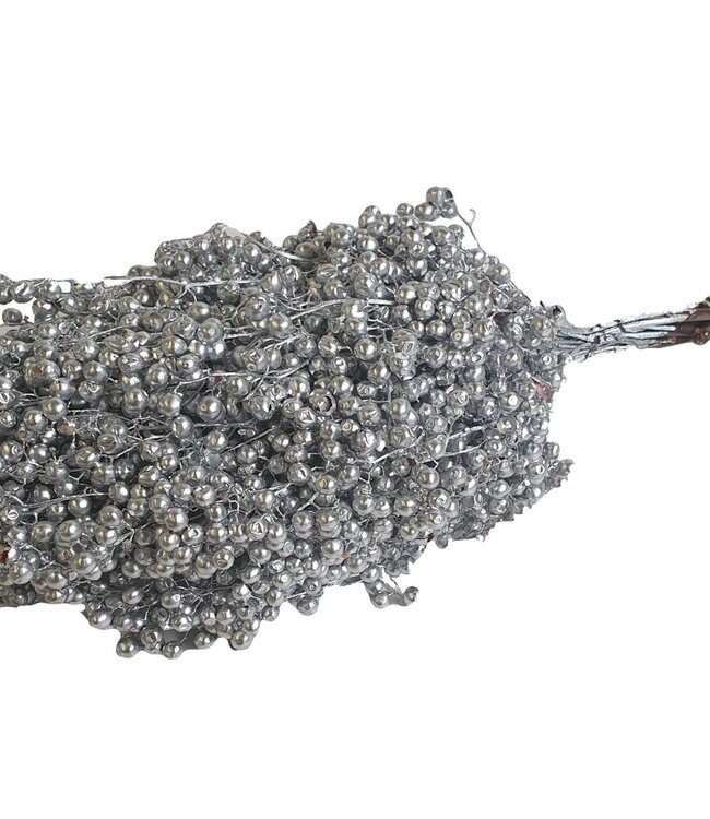 Silver coloured dried pepper berries | Packed in plastic bag | Ordered per 5 pieces