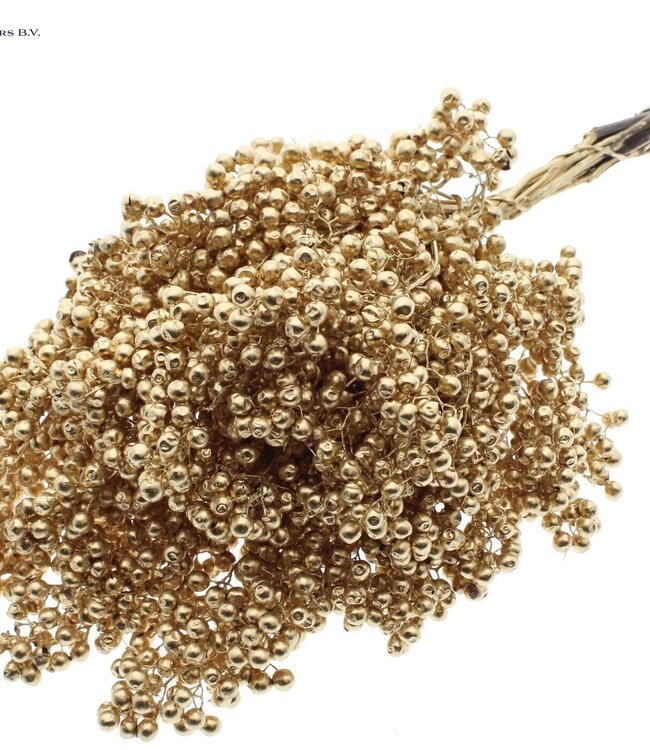 Antique gold coloured dried pepper berries | Packed individually in plastic bag | Ordered per 5 pieces