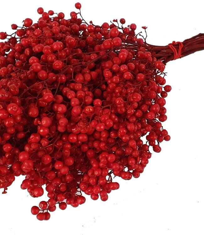 Rote getrocknete Pfefferbeeren | Einzeln in Plastikbeutel verpackt | Bestellt pro 5 Stück