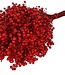 Red dried pepper berries | Packed individually in plastic bag | Ordered per 5 pieces