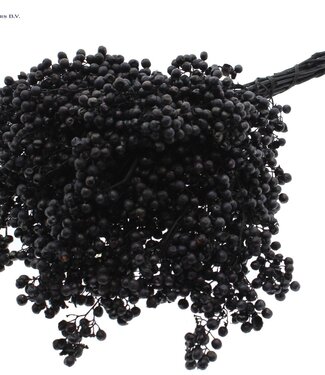 QC Schwarze getrocknete Pfefferbeeren | Pro Stück verpackt | Pro 5 Stück