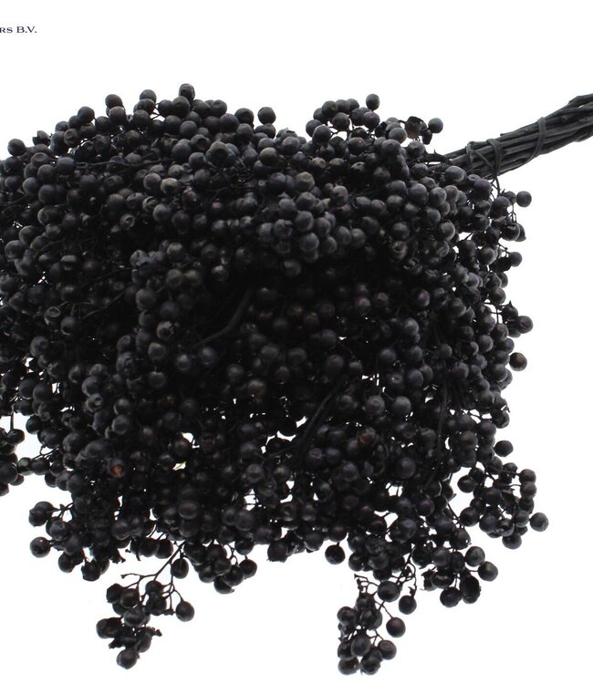 Black dried pepper berries | Packed individually in plastic bag | Ordered per 5 pieces