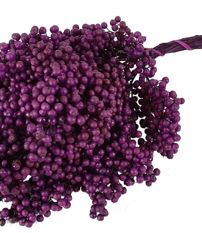 Purple dried pepper berries | Packed per piece in plastic bag | Ordered per 5 pieces