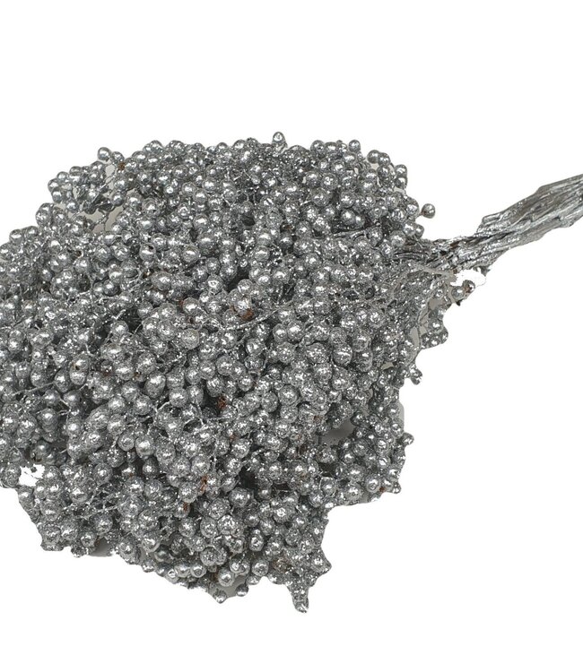 Silver coloured dried pepper berries with glitter | Packed per piece in plastic bag | Ordered per 5 pieces