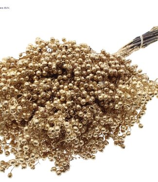 QC Antique gold coloured dried pepper berries with glitter | Packed individually | Per 5 pieces