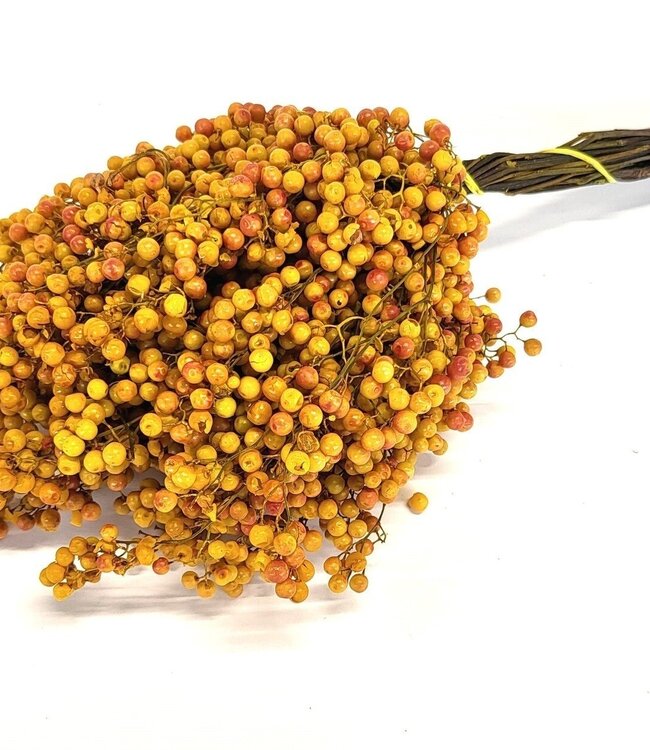 Yellow dried pepper berries | Packed per piece in plastic bag | Ordered per 5 pieces