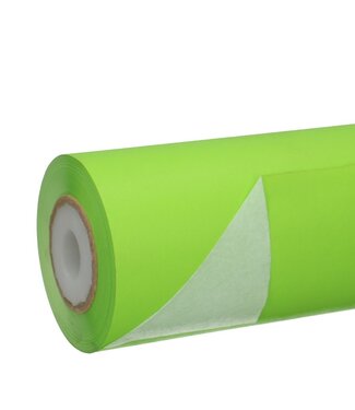 4A Rol lichtgroen papier | Breedte 25 centimeter | 50 gram/m² | Gewicht rol 1.25 kilogram | Per stuk