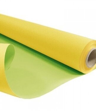 4A Rol geel groen papier Duo | Breedte 80 centimeter | Lengte 40 meter | 60 gram/m² | Per stuk